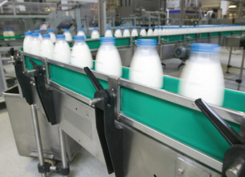 Bottling of milk.