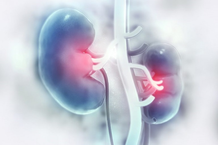 Purified water plays a fundamental role in the provision of renal dialysis for patients with chronic kidney disease.