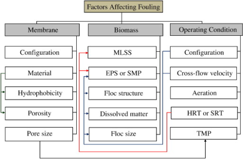 The factors that influence membrane fouling in a membrane bioreactor.