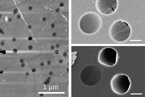 On the left, an atomic-force microscopy image shows a nanoporous graphene membrane after a burst test at 100 bars. The image shows that failed micromembranes (the dark black areas) are aligned with wrinkles in the graphene. On the right, two zoomed-in scanning electron microscopy images of graphene membranes show the before (top) and after of a burst test at pressure difference of 30 bars. The images illustrate that membrane failure is associated with intrinsic defects along wrinkles.