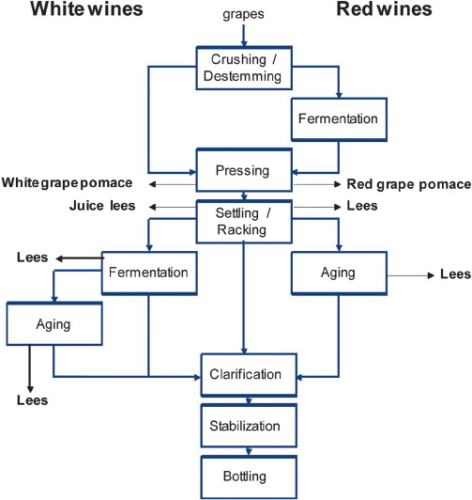 Figure 1. Simplified winemaking process. (adapted from [1])