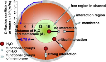 It has been found that 8.75 Å is a critical radius for water channels in diffusion in aromatic polyamide (PA) membranes.