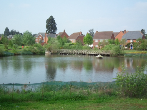 Elvetham Heath hailed as an example for SuDS developments.