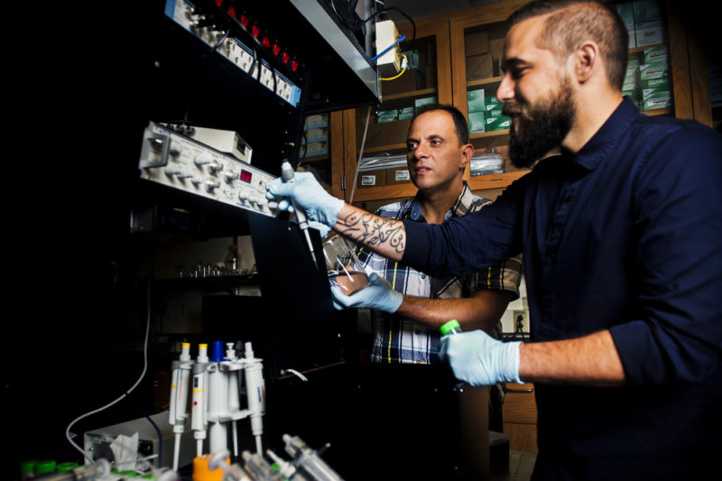 Meni Wanunu, associate professor of physics, and his post doctoral student Robert Henley are using carbon nanotubes as a filter to desalinate water. (Picture by Adam Glanzman/Northeastern University.)