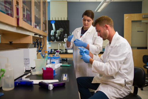 More than 300 faculty members study varying aspects of water at the WEST Center.