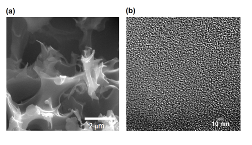 A scanning electron microscope image (left) and a high-resolution transmission electron microscope image show an activated, sulphur-containing porous carbon sample. The material created at Rice University can be tuned to balance carbon dioxide sequestration and methane selectivity. (Image courtesy of the Barron Research Group.)