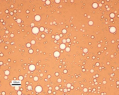 Optical microscopy of oil-water emulsion. Courtesy M. Nasim Hyder.