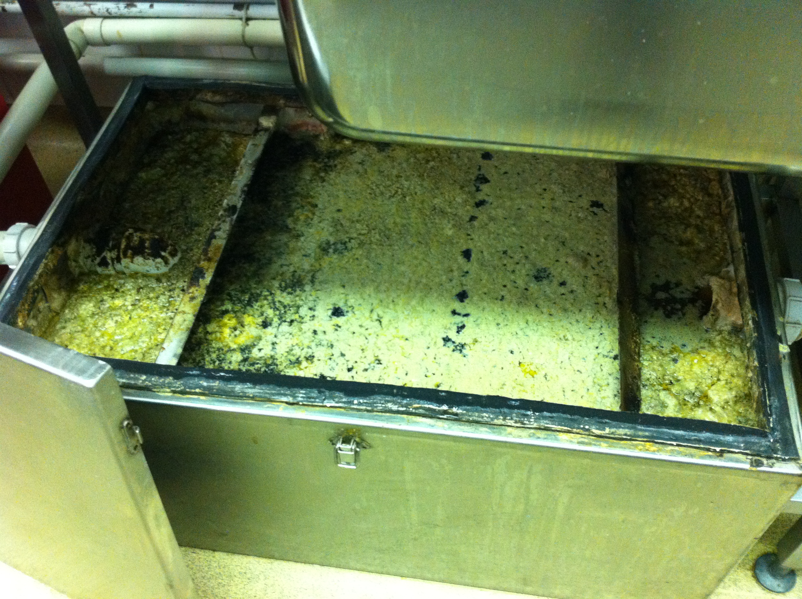 Restaurant operators need guidance on sizing and maintaining grease traps.
