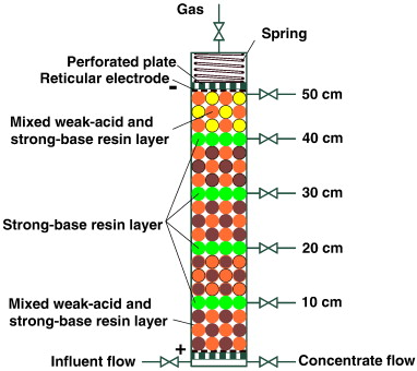 A thin strong-base resin layer prevents cation back-migration during regeneration in membrane-free electrodeionisation (MFEDI) for high-purity water production, without electrode polarity reversal.