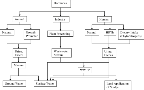 Sources and pathways of steroidal hormones in the environment (HRTh = hormone replacement therapy).
